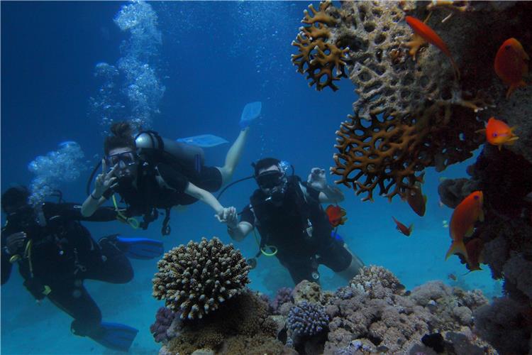 Snorkeling in Aqaba