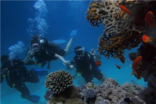 Snorkeling in Aqaba